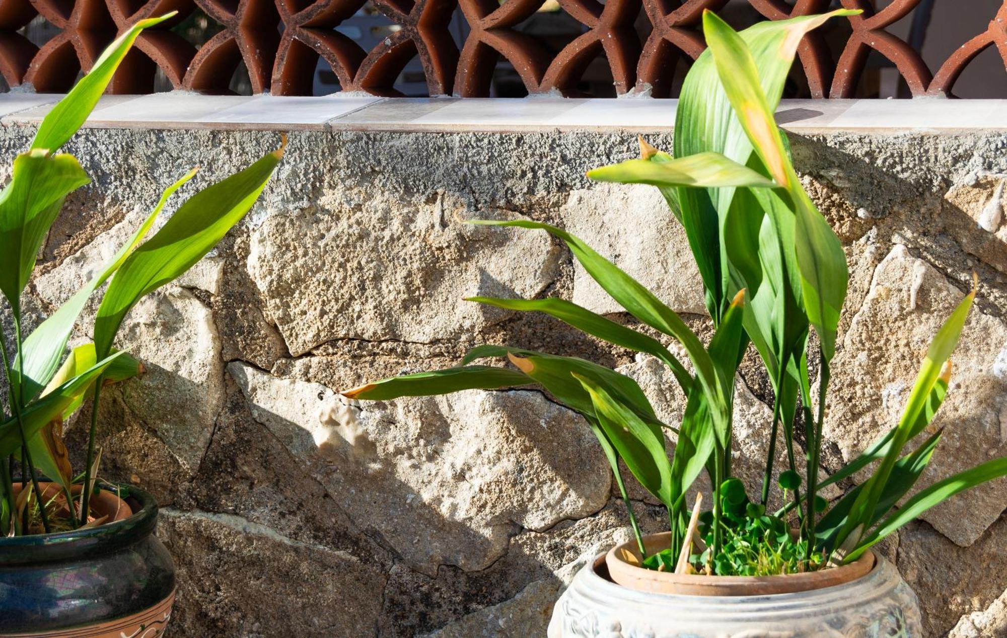 דניה Casa Delicias Con Piscina Privada A 200M Playa - By Marina Alta Holidays מראה חיצוני תמונה